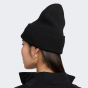 Шапка Nike U NK PEAK BEANIE TC FUT F24 L, фото 2 - интернет магазин MEGASPORT