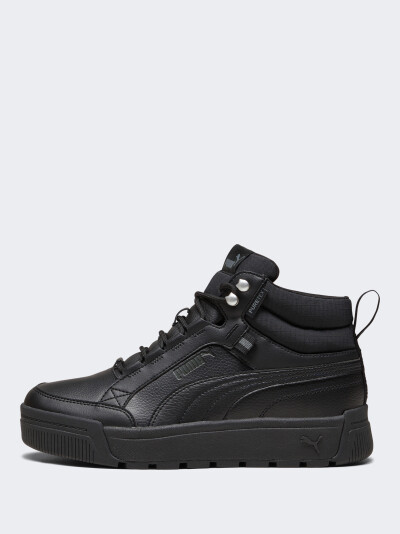 Кеди Puma Tarrenz SB III Puretex - 169399, фото 1 - інтернет-магазин MEGASPORT