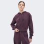 Кофта Champion hooded full zip sweatshirt, фото 1 - інтернет магазин MEGASPORT