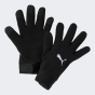 Рукавички Puma teamLIGA 21 Winter gloves, фото 1 - інтернет магазин MEGASPORT