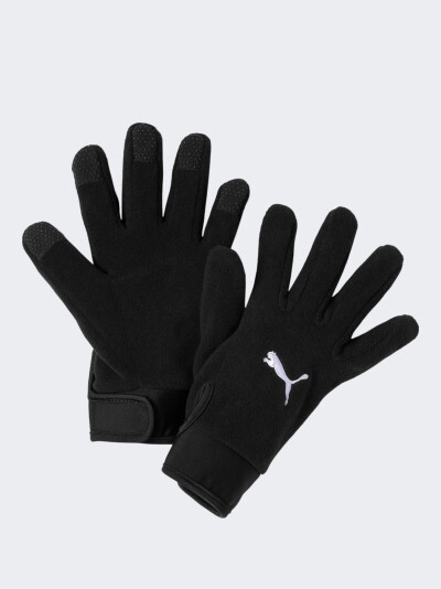 Рукавички Puma teamLIGA 21 Winter gloves - 147318, фото 1 - інтернет-магазин MEGASPORT