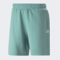 Шорты Puma DOWNTOWN Shorts 8" TR, фото 6 - интернет магазин MEGASPORT