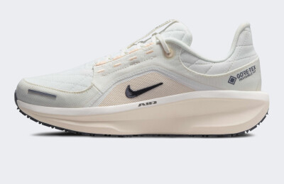 Кросівки Nike Winflo 11 GORE-TEX - 169622, фото 1 - інтернет-магазин MEGASPORT