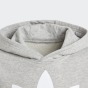 Кофта Adidas Originals дитяча TREFOIL HOODIE, фото 2 - інтернет магазин MEGASPORT