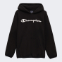 Кофта Champion дитяча hooded top, фото 1 - інтернет магазин MEGASPORT