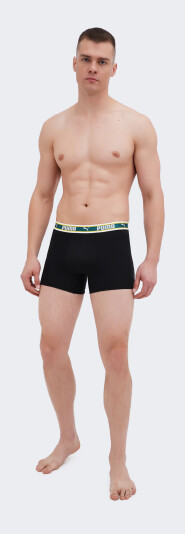 Спідня білизна Puma MEN DUAL LOGO BOXER 2P - 169169, фото 1 - інтернет-магазин MEGASPORT