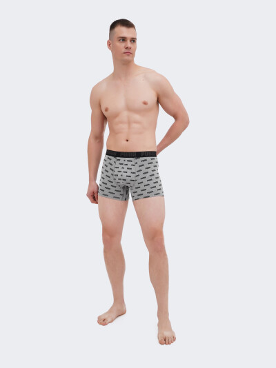 Спідня білизна Puma MEN EVERYDAY AOP PRINT BOXER 2P - 169167, фото 1 - інтернет-магазин MEGASPORT