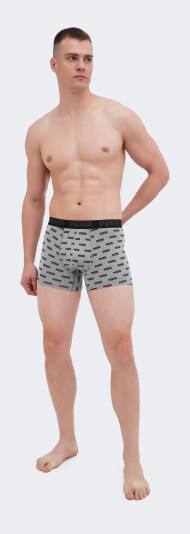 Спідня білизна Puma MEN EVERYDAY AOP PRINT BOXER 2P - 169167, фото 1 - інтернет-магазин MEGASPORT