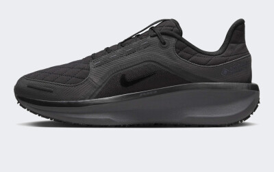 Кроссовки Nike Winflo 11 GORE-TEX - 169657, фото 1 - интернет-магазин MEGASPORT
