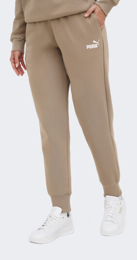 Спортивные штаны Puma ESS Sweatpants FL cl (s) - 168450, фото 1 - интернет-магазин MEGASPORT