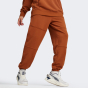 Спортивные штаны Puma DOWNTOWN Sweatpants TR, фото 1 - интернет магазин MEGASPORT