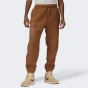 Спортивные штаны Jordan M J FLIGHT SHERPA PANT, фото 1 - интернет магазин MEGASPORT