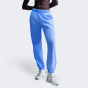 Спортивные штаны Nike W NSW PHNX FLC HR OS PANT 2, фото 1 - интернет магазин MEGASPORT