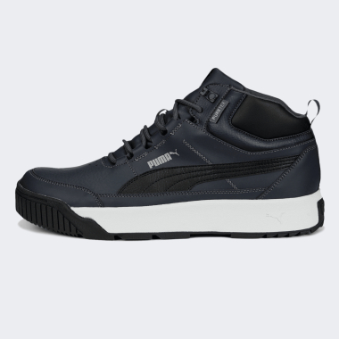 Кеды Puma Tarrenz SB II Puretex - 148347, фото 1 - интернет-магазин MEGASPORT