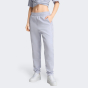 Спортивнi штани Puma EVOSTRIPE Sweatpants DK op, фото 1 - інтернет магазин MEGASPORT