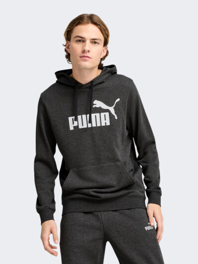 Кофта Puma ESS No. 1 Logo Hoodie TR - 170449, фото 1 - інтернет-магазин MEGASPORT