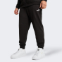 Спортивные штаны Puma ESS No. 1 Logo Slim Sweatpants TR cl, фото 1 - интернет магазин MEGASPORT