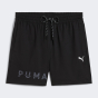 Шорты Puma M CLOUDSPUN BRANDED 5" SHORT, фото 6 - интернет магазин MEGASPORT