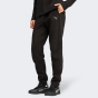 Спортивные штаны Puma EVOSTRIPE Sweatpants DK op, фото 1 - интернет магазин MEGASPORT