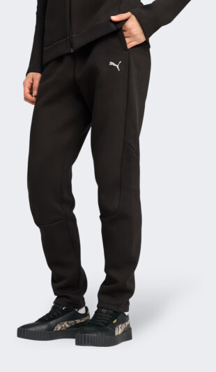 Спортивні штани Puma EVOSTRIPE Sweatpants DK op - 170573, фото 1 - інтернет-магазин MEGASPORT