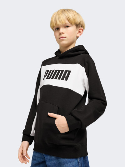 Кофта Puma ESS BLOCK Hoodie TR B - 170575, фото 1 - інтернет-магазин MEGASPORT