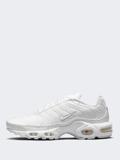 Кросівки Nike Air Max Plus - 170599, фото 1 - інтернет-магазин MEGASPORT