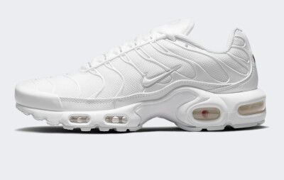 Кросівки Nike Air Max Plus - 170599, фото 1 - інтернет-магазин MEGASPORT