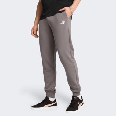 Спортивные штаны Puma ESS No. 1 Logo Sweatpants TR cl (s) - 170639, фото 1 - интернет-магазин MEGASPORT