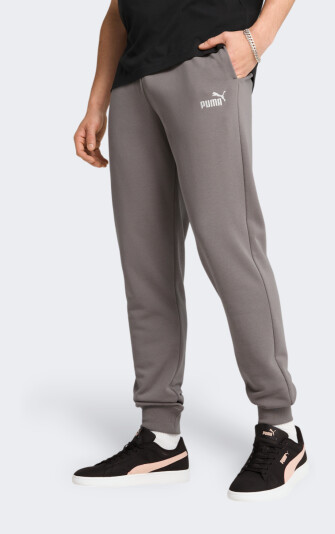 Спортивні штани Puma ESS No. 1 Logo Sweatpants TR cl (s) - 170639, фото 1 - інтернет-магазин MEGASPORT