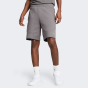 Шорти Puma EVOSTRIPE Shorts 8" DK, фото 1 - інтернет магазин MEGASPORT