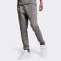 Спортивные штаны Puma EVOSTRIPE Pants DK op, фото 1 - интернет магазин MEGASPORT