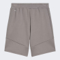 Шорти Puma EVOSTRIPE Shorts 8" DK, фото 5 - інтернет магазин MEGASPORT