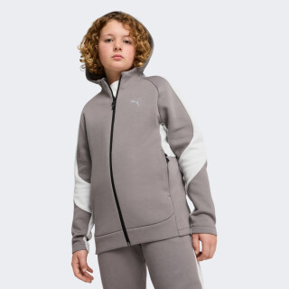 EVOSTRIPE Full-Zip Hoodie DK B 171090 купити в MEGASPORT, фото 1 EVOSTRIPE Full-Zip Hoodie DK B - 171090, фото 1 - інтернет-магазин MEGASPORT