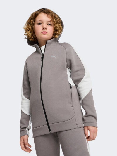 Кофта Puma EVOSTRIPE Full-Zip Hoodie DK B - 171090, фото 1 - інтернет-магазин MEGASPORT
