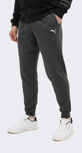 Спортивні штани Puma ESS Sweatpants TR cl - 170453, фото 1 - інтернет-магазин MEGASPORT