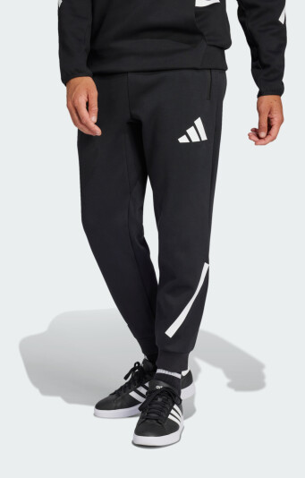 Спортивные штаны Adidas M Z.N.E. PT - 171421, фото 1 - интернет-магазин MEGASPORT