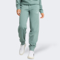 Спортивные штаны Puma ESS SCRIPT Comfort Sweatpants TR cl, фото 1 - интернет магазин MEGASPORT