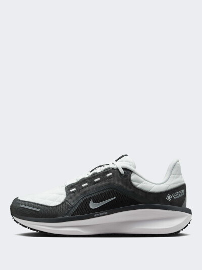 Кросівки Nike W AIR WINFLO 11 GTX - 171825, фото 1 - інтернет-магазин MEGASPORT