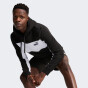 Кофта Puma ESS BLOCK Hoodie TR, фото 1 - интернет магазин MEGASPORT
