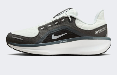 Кросівки Nike AIR WINFLO 11 GTX - 172355, фото 1 - інтернет-магазин MEGASPORT
