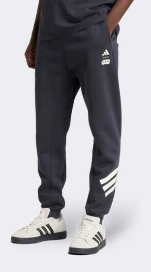 Спортивні штани Adidas M SW TM SWTPNTS - 171438, фото 1 - інтернет-магазин MEGASPORT