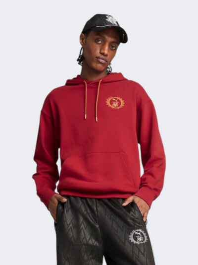 Кофта Puma X HARRY POTTER Relaxed Graphic Hoodie TR - 172541, фото 1 - інтернет-магазин MEGASPORT