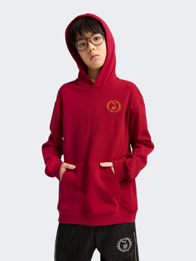 Кофта Puma X HARRY POTTER Relaxed Graphic Hoodie TR - 172536, фото 1 - інтернет-магазин MEGASPORT