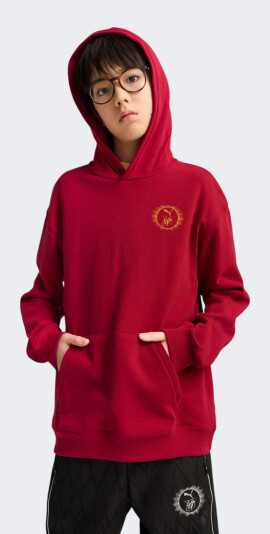 Кофта Puma дитяча X HARRY POTTER Relaxed Graphic Hoodie TR - 172536, фото 1 - інтернет-магазин MEGASPORT