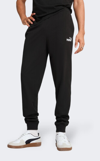 Спортивные штаны Puma ESS No. 1 Logo Jersey Pants cl - 172703, фото 1 - интернет-магазин MEGASPORT