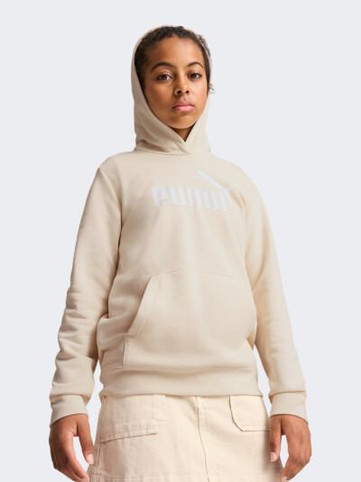 Кофта Puma ESS No. 1 Logo Hoodie TR G - 172705, фото 1 - інтернет-магазин MEGASPORT