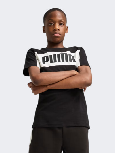 Футболка Puma ESS BLOCK Tee B - 171353, фото 1 - інтернет-магазин MEGASPORT