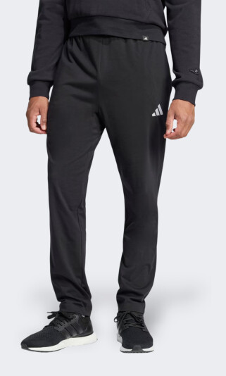 Спортивні штани Adidas M SL SJ TO PT - 173013, фото 1 - інтернет-магазин MEGASPORT
