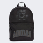 Рюкзак Adidas Originals VARSITY BP, фото 1 - интернет магазин MEGASPORT