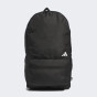 Рюкзак Adidas AG PCBL BP, фото 1 - интернет магазин MEGASPORT